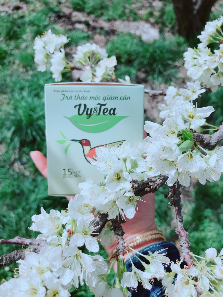trà giảm cân vy tea