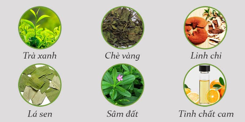 thanh phan tra giam can vy tea